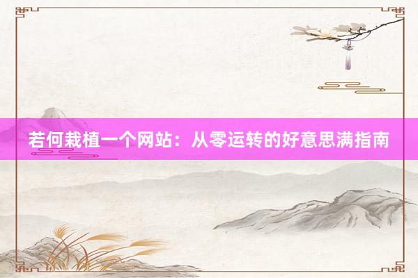 若何栽植一个网站：从零运转的好意思满指南