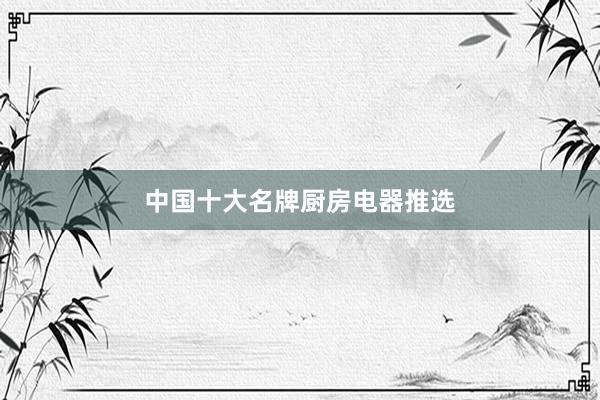 中国十大名牌厨房电器推选