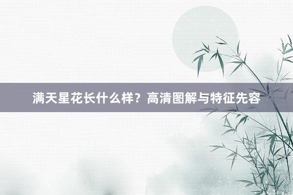 满天星花长什么样？高清图解与特征先容