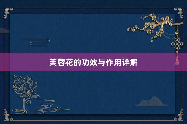 芙蓉花的功效与作用详解