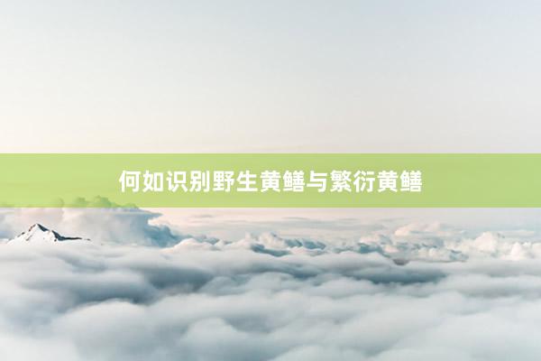 何如识别野生黄鳝与繁衍黄鳝