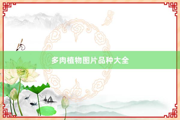 多肉植物图片品种大全
